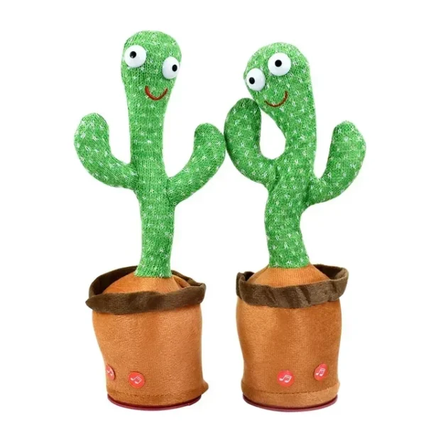 Cactus Dansant – Image 2